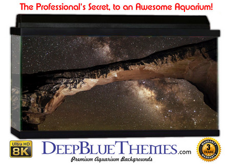 Buy Aquarium Background Formations Pathway Aquarium Background