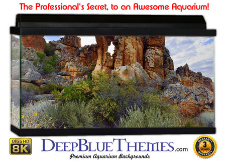 Buy Aquarium Background Formations Pillars Aquarium Background
