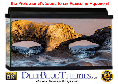 Buy Aquarium Background Formations River Aquarium Background