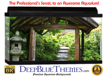 Buy Aquarium Background Garden Arch Aquarium Background