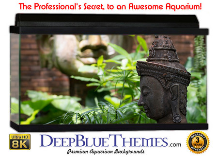 Buy Aquarium Background Garden Asian Aquarium Background