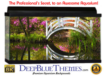 Buy Aquarium Background Garden Azalea Aquarium Background