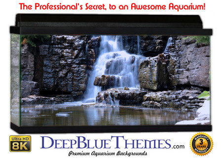 Buy Aquarium Background Garden Beautiful Aquarium Background