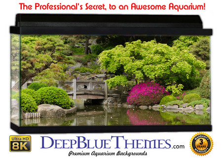 Buy Aquarium Background Garden Botanic Aquarium Background