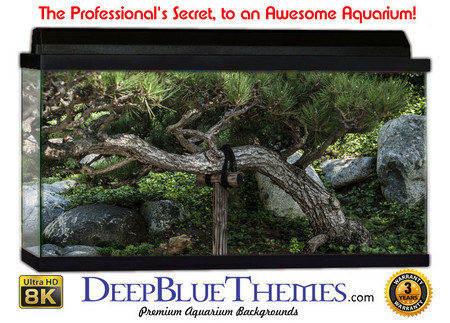 Buy Aquarium Background Garden Branch Aquarium Background