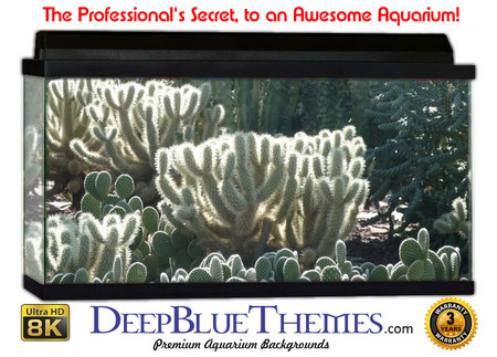 Buy Aquarium Background Garden Cat Aquarium Background