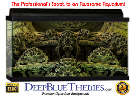 Buy Aquarium Background Garden Digital Aquarium Background