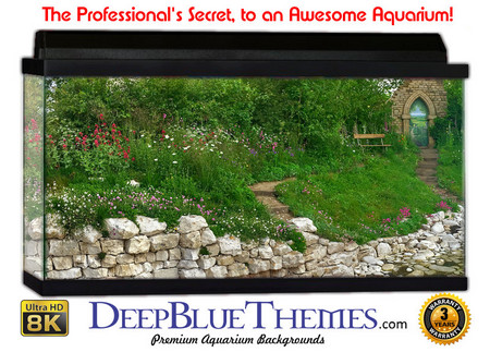 Buy Aquarium Background Garden Door Aquarium Background