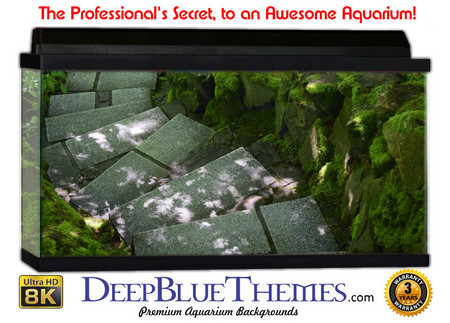Buy Aquarium Background Garden Down Aquarium Background