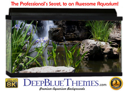 Buy Aquarium Background Garden Falls Aquarium Background