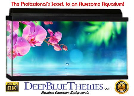 Buy Aquarium Background Garden Flower Aquarium Background