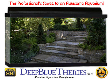 Buy Aquarium Background Garden Formal Aquarium Background
