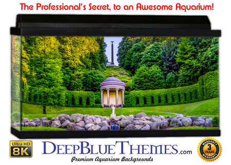 Buy Aquarium Background Garden Germany Aquarium Background