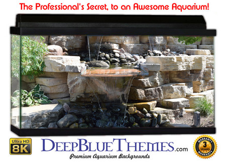 Buy Aquarium Background Garden Grand Aquarium Background