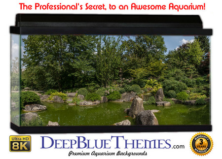 Buy Aquarium Background Garden Orient Aquarium Background