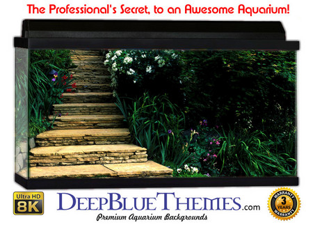 Buy Aquarium Background Garden Path Aquarium Background