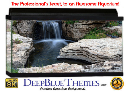 Buy Aquarium Background Garden Rock Aquarium Background