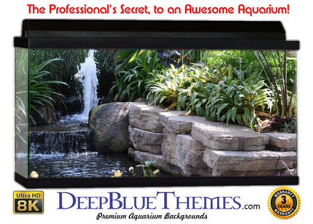 Buy Aquarium Background Garden Wall Aquarium Background
