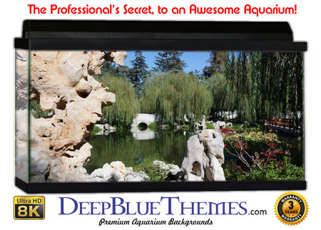 Buy Aquarium Background Garden Worn Aquarium Background