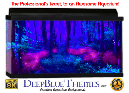 Buy Glo Fish Background Awesome Forest Aquarium Background