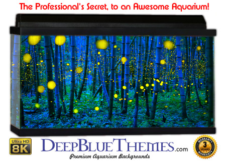 Buy Glo Fish Background Awesome Magic Aquarium Background