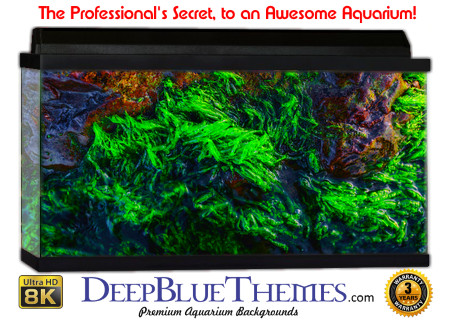 Buy Glo Fish Background Marine Cover Aquarium Background