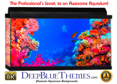 Buy Glo Fish Background Reef Beautiful Aquarium Background
