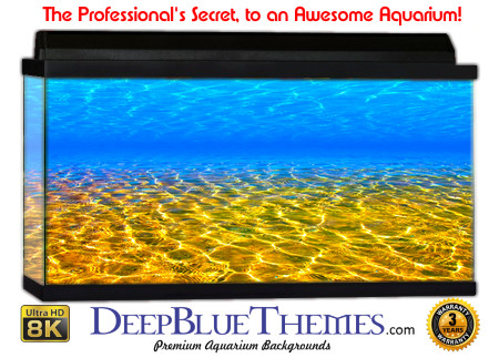 Buy Glo Fish Background Water Sandy Aquarium Background