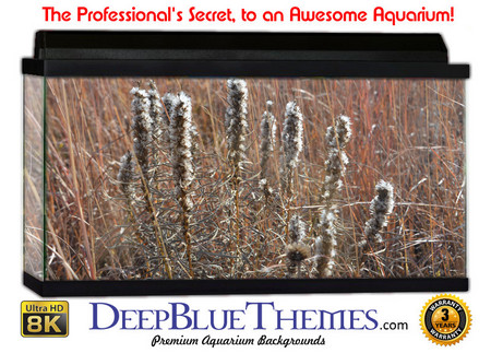 Buy Aquarium Background Grass Alone Aquarium Background