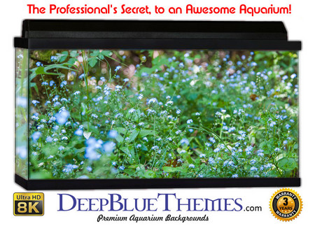 Buy Aquarium Background Grass Brush Aquarium Background