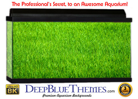 Buy Aquarium Background Grass Classic Aquarium Background