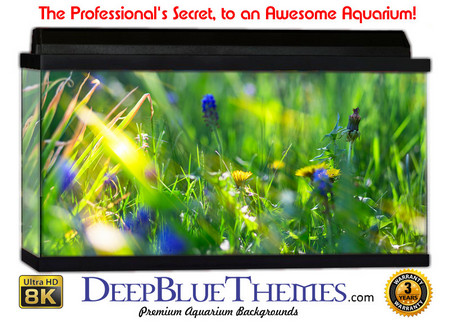 Buy Aquarium Background Grass Colors Aquarium Background