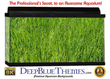 Buy Aquarium Background Grass Distant Aquarium Background