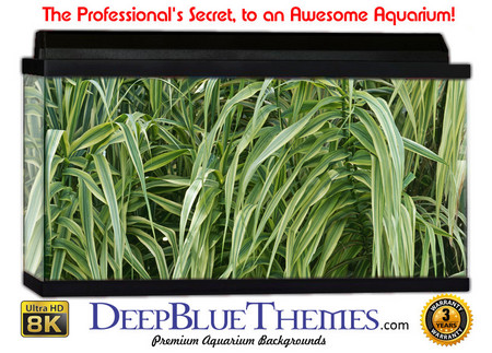 Buy Aquarium Background Grass Droop Aquarium Background