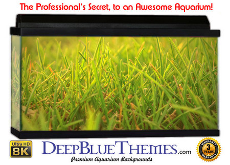 Buy Aquarium Background Grass Fade Aquarium Background