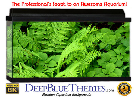 Buy Aquarium Background Grass Fern Aquarium Background