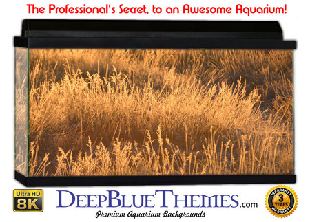 Buy Aquarium Background Grass Field Aquarium Background