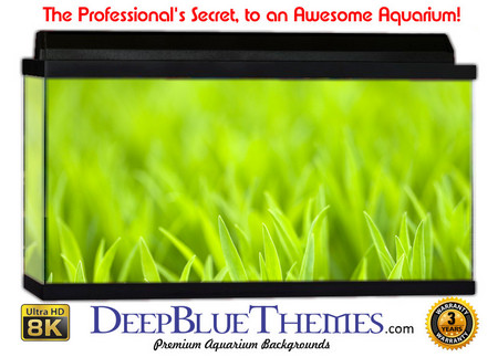 Buy Aquarium Background Grass Light Aquarium Background