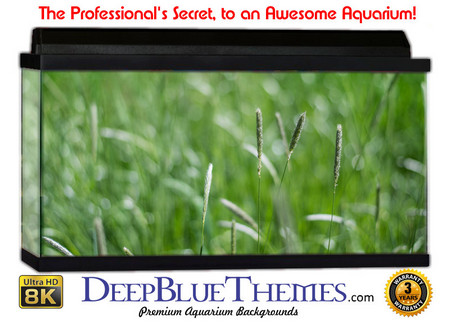Buy Aquarium Background Grass Plain Aquarium Background
