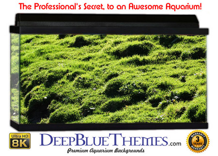 Buy Aquarium Background Grass Roll Aquarium Background