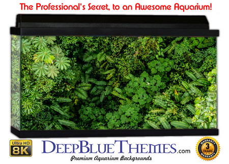 Buy Aquarium Background Grass Wall Aquarium Background