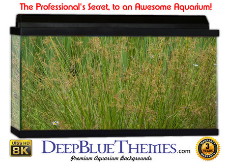 Buy Aquarium Background Grass Woods Aquarium Background