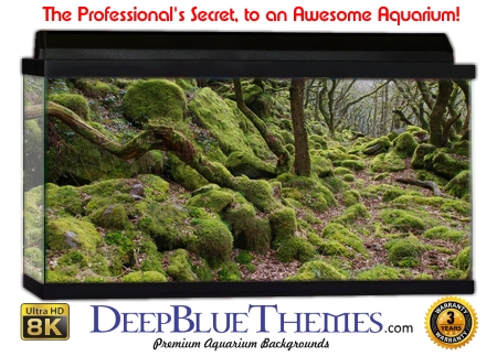 Buy Aquarium Background Moss 00002 Aquarium Background