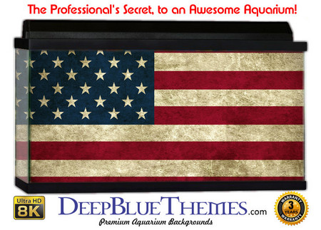 Buy Aquarium Background Grunge America Aquarium Background