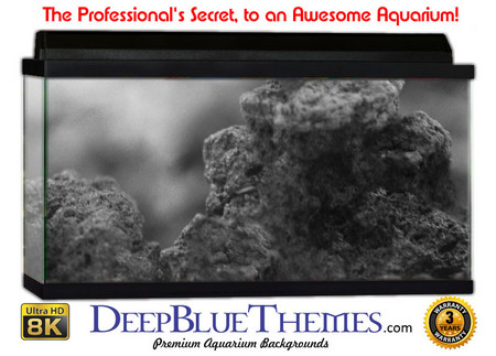 Buy Aquarium Background Grunge Outcrop Aquarium Background