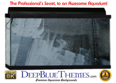 Buy Aquarium Background Grunge Panel Aquarium Background