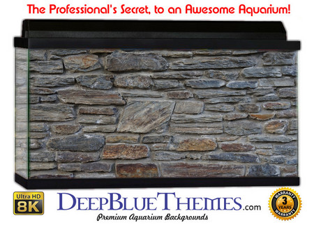 Buy Aquarium Background Grunge Rock Aquarium Background