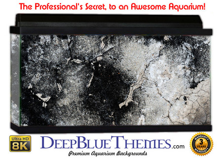 Buy Aquarium Background Grunge Rough Aquarium Background