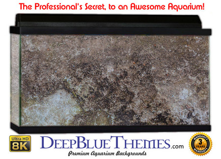 Buy Aquarium Background Grunge Spackle Aquarium Background