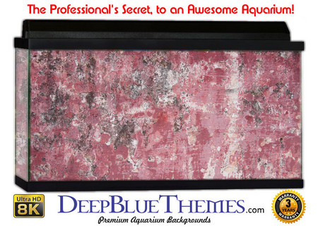 Buy Aquarium Background Grunge Wall Aquarium Background